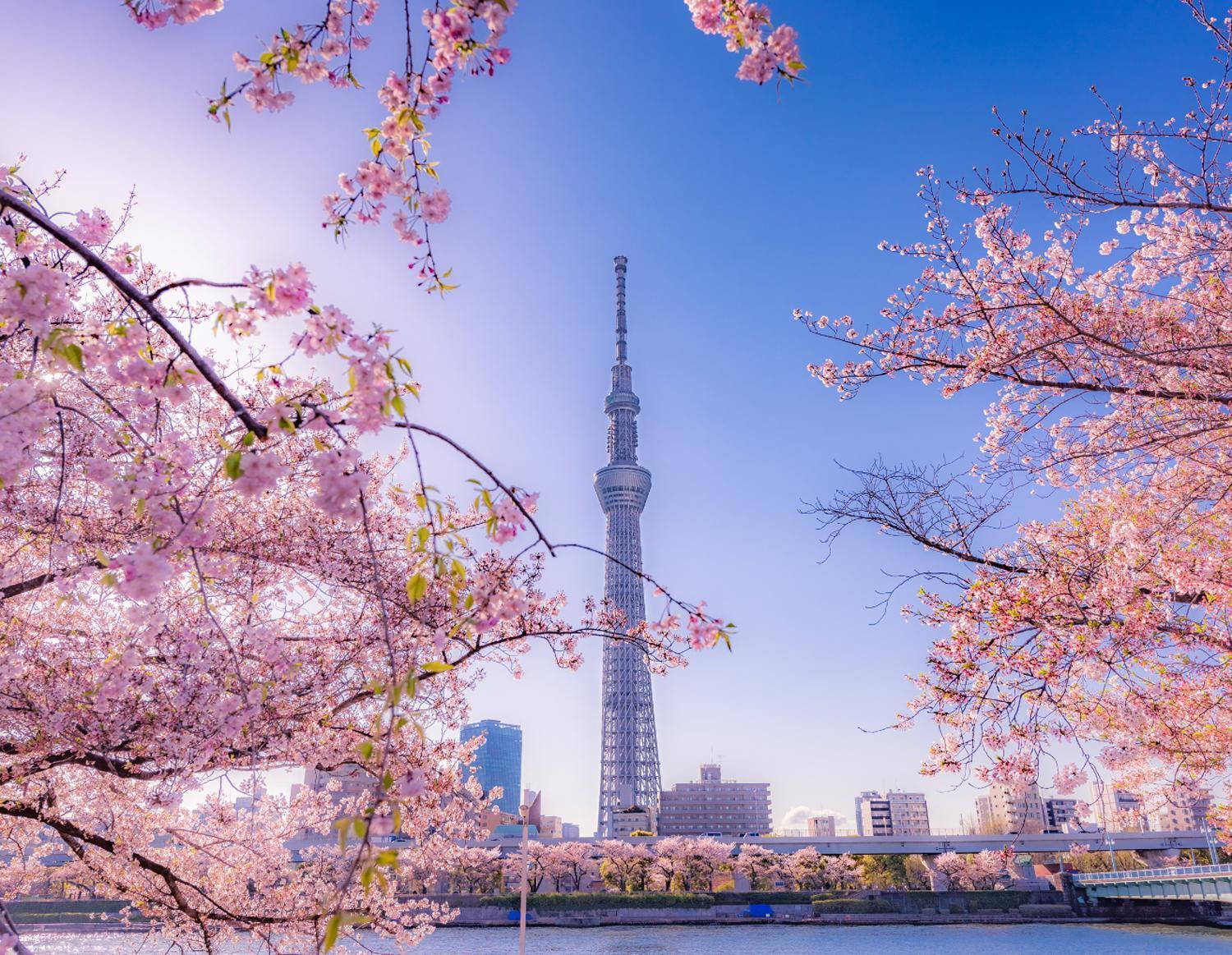 Grand Tree Hotel Skytree View Rooftop Asakusa Walk طوكيو المظهر الخارجي الصورة